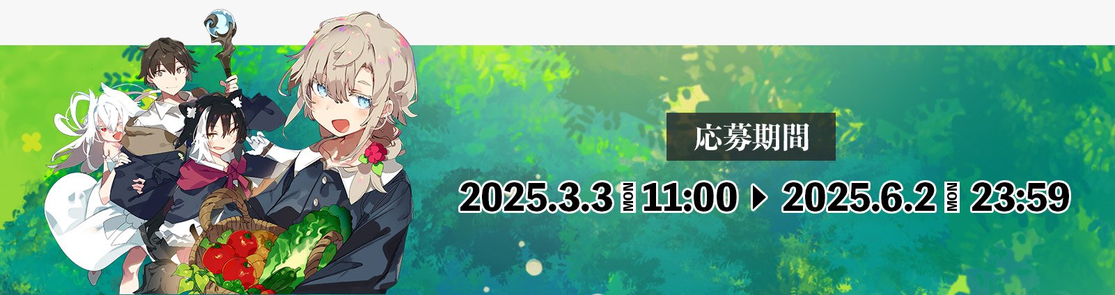 応募期間：2025年3月3日(月)11:00～2025年6月2日(月)23:59